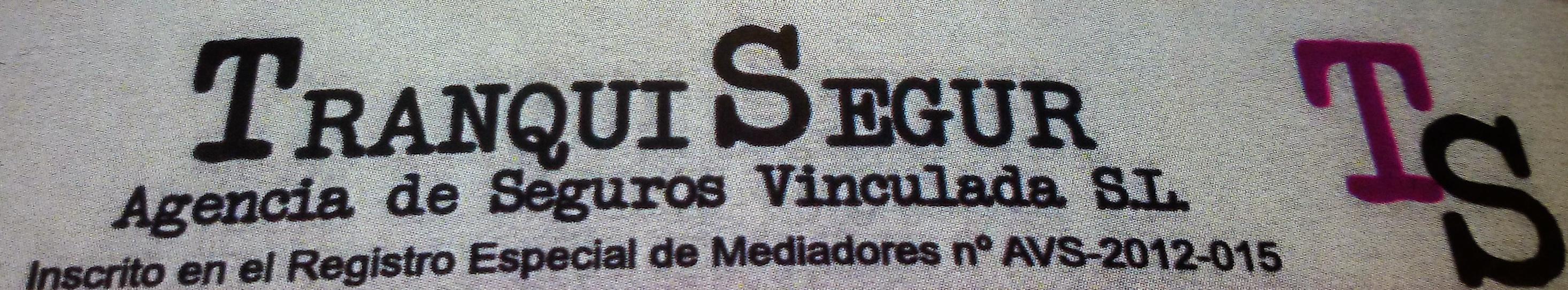 Ir a la página principal de tranquisegur-scdad.agen.seg.vinculada-s.l.
